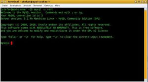 Abbildung 1: Nach dem Login in den MySQL-Datenbankserver ändert sich der Prompt zu <code srcset=