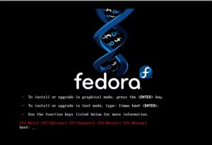 Abbildung 2: Der Bootscreen von Fedora Core 6: Über verschiedene Bootparameter beeinflussen Sie die Installation.
