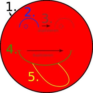 Abbildung 2: Die einzelnen Zeichenschritte bis zum fertigen Smiley.