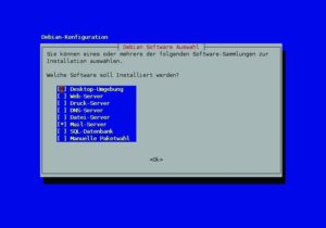 Abbildung 2: Hier wählen Sie aus, welche Software Debian installieren soll. Genügt Ihnen die spärliche Auswahl nicht, benutzen Sie lieber nach der Installation ein Tool wie Synaptic, denn die manuelle Paketwahl funktioniert mit Aptitude, einem sehr unkomfortablen Frontend.