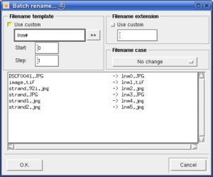 Abbildung 2: Mit dem Tool <code srcset=