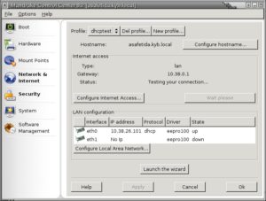 Abbildung 2: Hier aktivieren Sie den DHCP-Client bei Mandrake.