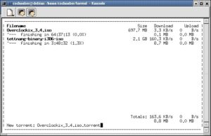 Abbildung 2: Mehrere Downloads parallel im Textfenster.