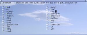 Abbildung 2: Die Auswahl der Programmsprachen