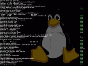 Abbildung 2: Mit einer aktuellen Distribution zeigt Linux bereits beim Booten des Kernels ein Hintergrundbild.