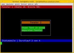 Abbildung 2: Verschachtelte Fenster in einer Curses-Applikation.