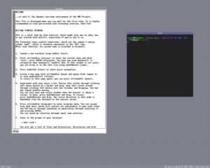 Abbildung 2: Wmii vorkonfiguriert nach dem ersten Starten: Ein Tutorial hilft Ihnen bei den ersten Schritten mit dem tastaturgesteuerten Window-Manager Wmii.