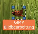 Abbildung 2: Symbole vergrößern oder verkleinern Sie über diese Anfasser.