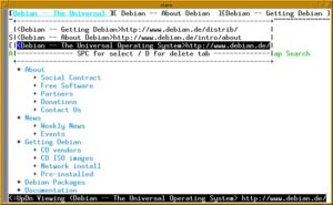 Abbildung 3: w3m beherrscht auch Tabbed Browsing.