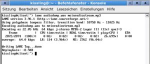 Abbildung 3: Wie Sie hören, hören Sie nix! Wenn der MPlayer den ankommenden Stream in einer wav-Datei aufzeichnet, ist der Sound nicht zu hören.