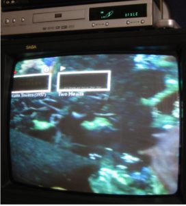 Abbildung 3: Das Ergebnis: Der DVD-Player zeigt das selbst erstellte Menü. Auf Knopfdruck startet er den gewünschten Film.
