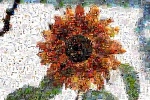 Abbildung 3: Bei einer Collage überlappen sich die Einzelbilder des Mosaiks.