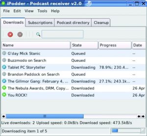 Abbildung 3: Überwachen und verwalten von Downloads im Register "Downloads".