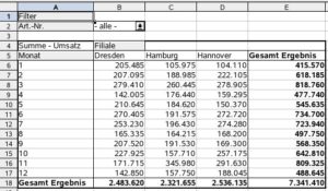 Abbildung 3: Diese automatisch generierte Tabelle fasst Datensätze entsprechend gleicher Einträge in den Feldern Filiale und Monat mit der Funktion Summe zusammen.