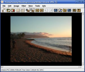 Abbildung 3: Einige Symbole des Image Viewer erschliessen sich dem Anwender nicht spontan. Wegen der fehlenden Dokumentation hilft nur Probieren.