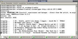 Abbildung 3: Streamripper speichert die Lieder eines Radio-Streams einzeln.