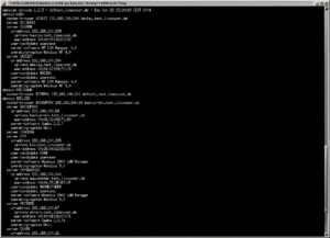 Abbildung 3: Vor einem Nmbscan kann sich kein Samba-Share verstecken.