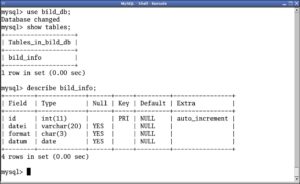 Abbildung 3: Der Client <code srcset=