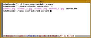 Abbildung 3: Eine farbige Statuszeile sorgt für mehr Übersichtlichkeit in "screen".