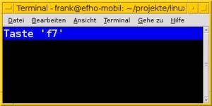 Abbildung 3: Das Modul Urwid erlaubt es auf einfache Weise, Tastendrücke abzufragen.