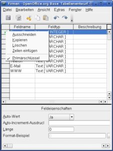 Abbildung 3: Jede Tabelle benötigt einen primären Schlüssel, damit sie sich mit anderen Tabellen verknüpfen lässt.
