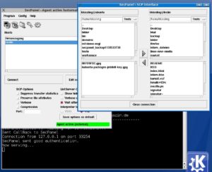 Abbildung 4: Datentransfer über SSH: Eine GUI in Tcl/Tk erleichtert den Datentransfer zwischen den Rechnern, sie arbeitet wie ein schlanker FTP-Client.