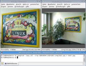 Abbildung 4: Jpegtran beschneidet Bilder verlustfrei. Falls der zu beschneidende Ausschnitt nicht genau an einen JPEG-Block grenzt, vergrößert Jpegtran den Ausschnitt entsprechend um die nötigen Pixel.
