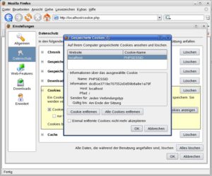 Abbildung 4: Webanwendungen nutzen Cookies, um verschiedene Benutzer auseinander zu halten. Gelangen diese Schlüsseldateien durch Cross-Site-Scripting in die Hände eine Angreifers, so kann dieser Ihre Identität annehmen kann.