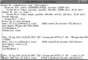 Abbildung 4: Sighttpd protokolliert jede Anfrage aus dem Netz durch eine Ausgabe ins Terminal.