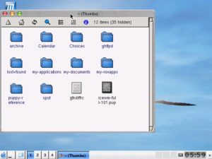 Abbildung 5: Mit dem richten Theme – hier für den optionalen Fenster-Manager Icewm – hat Puppy auch optisch einiges zu bieten.