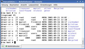 Abbildung 5: Nach dem Einhängen von <code srcset=