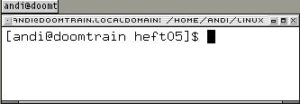 Abbildung 5: Über Tabs gruppieren Sie Fenster unter Fluxbox.