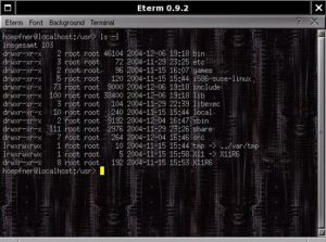 Abbildung 5: Eterm ist der Paradiesvogel unter den Terminal-Emulatoren.