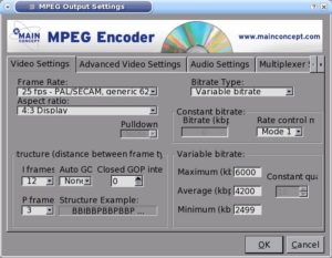 Abbildung 6: Der MPEG-Encoder ist auch in wesentlich teureren Produkten anzutreffen, zum Beispiel in Adobe Premiere.