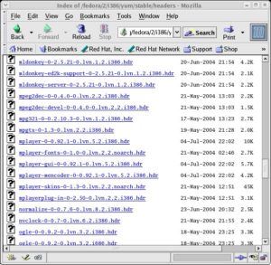 Abbildung 6: Der Browser gibt Auskunft darüber, welche Pakete im Repository verfügbar sind.