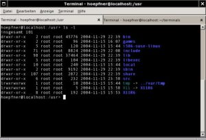 Abbildung 6: XFCE bringt einen eigenen Terminal-Emulator mit.