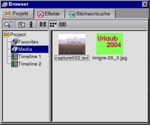 Abbildung 7: Der Browser verwaltet alle Mediendaten für ein Projekt.