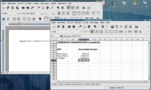 Abbildung 8: Gnome Office besteht lediglich aus den beiden Einzelapplikationen Abiword und Gnumeric.