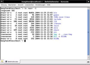 Abbildung 8: KDE liegt das Programm "konsole" als Terminal-Emulator bei.
