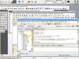 Abbildung 9: Anders als Skolelinux enthält KmLinux viele Programme zur Software-Entwicklung.