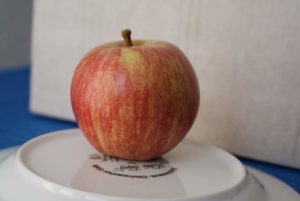 Community "Bildbearbeitung und Computergrafik"