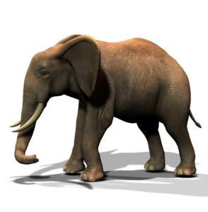 Der Elefant