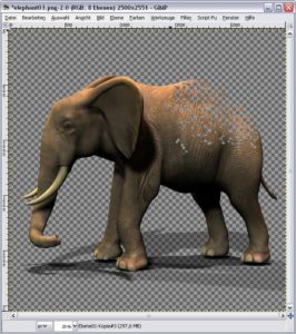 Elefant durchlöchert