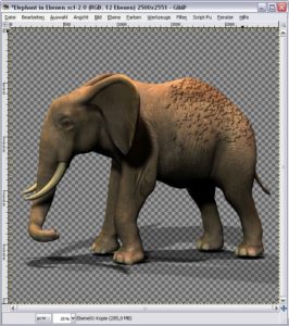 Elefant mit schatten