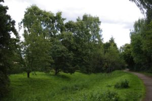 Hintergrund