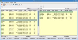 Peter Norton lässt grüßen: Der Beesoft Commander vereint viele Shortcut-gebundene Features in der typischen Zwei-Spalten-Ansicht.