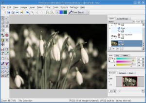 Das Grafikprogramm Krita aus der neuen KOffice-Suite gewann schon vorab einen Preis als beste KDE-Applikation.