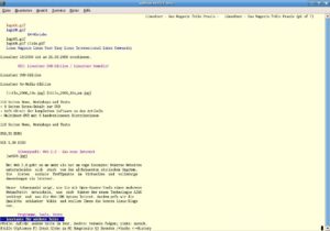Trotz der einfachen Darstellung bleiben die wichtigsten Informationen auf der LinuxUser-Website in Lynx erhalten.