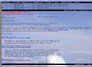 Abb. Der Mailreader Mutt in Aktion.