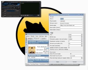 Mit dem Shouter-Plugin, das Amarok in einen Streaming-Server verwandelt, steht einer Karriere als Webradio-DJ nun nichts mehr im Wege.